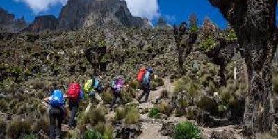 Mount Kenya Climbing Safaris