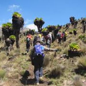 Sirimon Route Trekking Safari